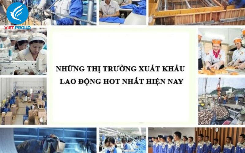 : Các ngành nghề xuất khẩu lao động Hàn Quốc