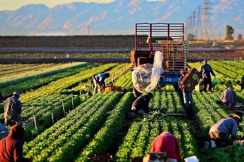 Khám Phá Cơ Hội Việc làm Thêm Xuất khẩu Lao Động Hy Lạp - Đổi Đời Và Thu Nhập Ổn Định