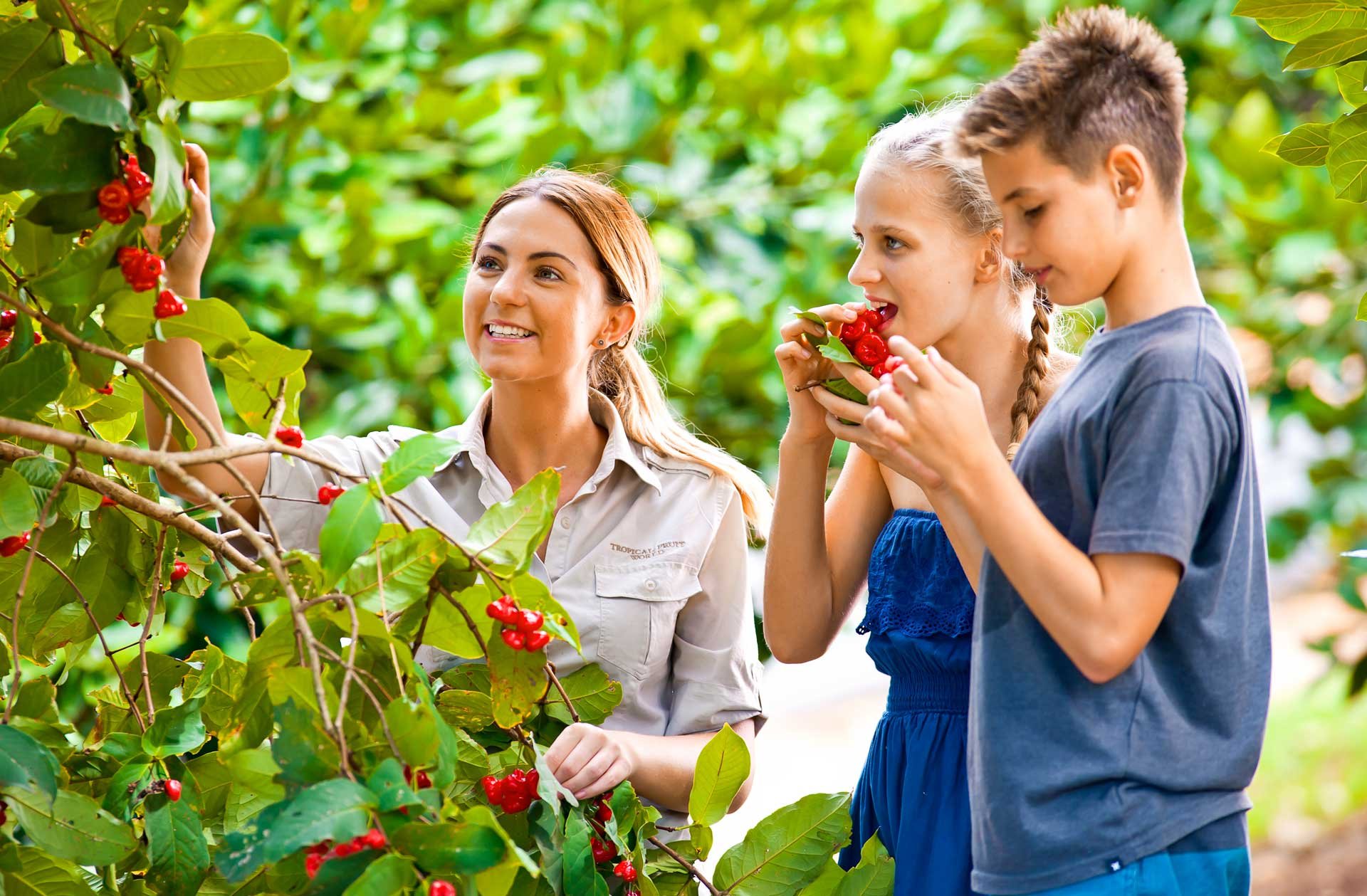 hop dong xkld hy lap 6788c76aa9076