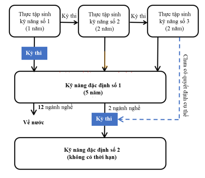 visa dac dinh loai 2 la gi 67aa4de2a3fca