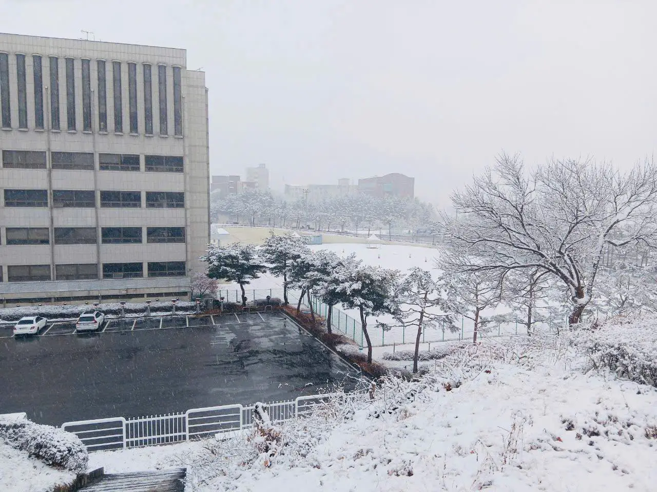 Đại Học Gimcheon Hàn Quốc - 김천대학교