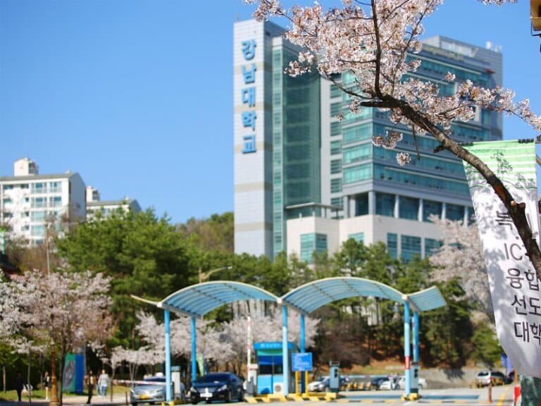 Quy Trình Du Học Đại Học Kangnam Hàn Quốc Hiệu Quả