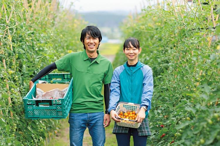Thông tin xuất khẩu lao động Hy Lạp: Cơ hội và thủ tục