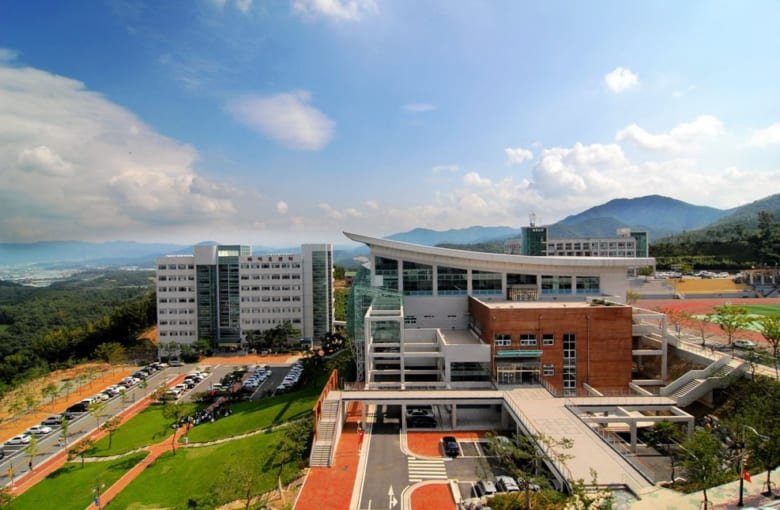 Khám Phá Chương Trình Đào Tạo Tại Đại Học Daegu Catholic - Cửa Ngỏ Vào Giáo Dục Hàng Đầu Hàn Quốc
