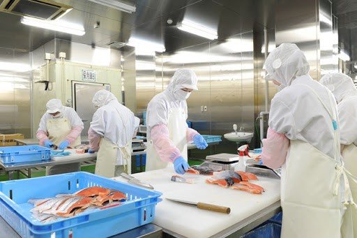 Các ngành nghề hot trong XKLĐ Croatia - Cơ hội làm việc hấp dẫn cho lao động Việt Nam