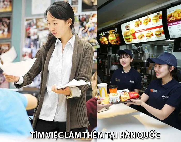 Làm thêm tại Hàn Quốc - Cơ hội mới cho sinh viên và người lao động trẻ tại xứ sở kim chi