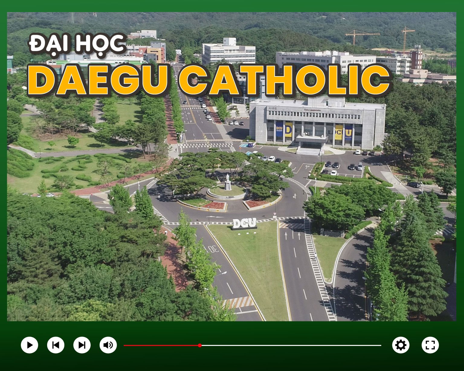 Giới thiệu về Đại học Daegu Catholic Hàn Quốc – Cánh cửa mở ra tri thức và trải nghiệm quốc tế