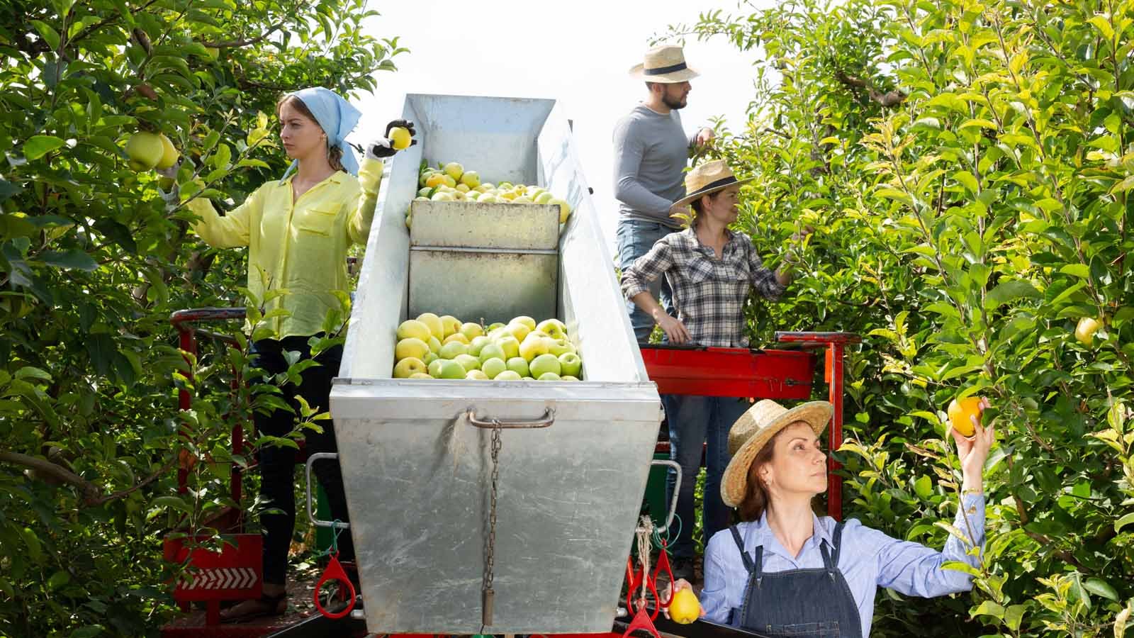 Các Ngành Nghề Hot Khi Xuất Khẩu Lao Động Litva – Cơ Hội Việc Làm Hấp Dẫn Cho Người Việt