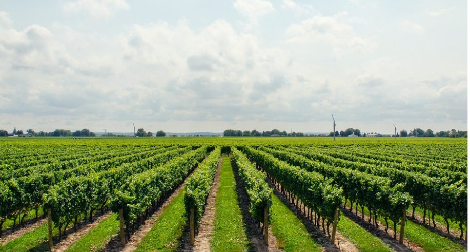 Quy Trình XKLĐ Sang Hy Lạp Năm 2026 - Cánh Cửa Mở Rộng Cơ Hội Nghề Nghiệp Mới cho Người Việt